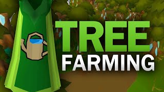 Complete Tree Farming Guide for OSRS [upl. by Osugi]