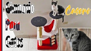 ¿Cómo hacer un gimnasio para gatos  Tutorial [upl. by Annehcu]