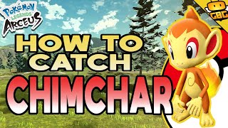 How to Get Chimchar in Pokémon Legends Arceus Chimchar Location [upl. by Lockwood]