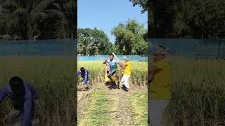 Aunt in the paddy field funny comedy foryou shorts [upl. by Gaiser626]