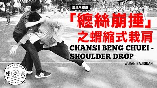 武壇八極拳「崩捶」之蝟縮式栽肩 WuTan Bajiquan quotBeng Chueiquot  Shoulder Drop [upl. by Swanson]