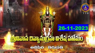 Srinivasa Divyanugraha Visesa Homam  Alipir iTirupati  26112023 SVBC TTD [upl. by Sorcim]