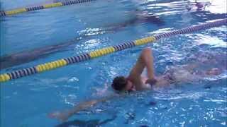 How to Do the Zipper Swim Drill Correctly [upl. by Milissent]