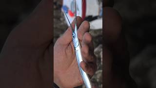 Catch More with Needlefish  Effective Bluefish Bait [upl. by Ydiarf512]