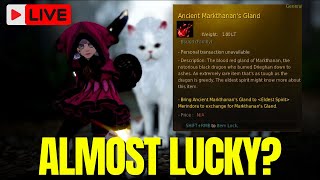 Quick Shai Grind For Ancient Infinite Potion Pieces In Black Desert Online [upl. by Novia]