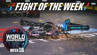 What has Riptide done now  BattleBots FOTW Shatter vs Riptide  from WC7 [upl. by Ahnavas]