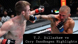 TJ Dillashaw vs Cory Sandhagen Highlights [upl. by Chadd763]