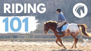 HOW TO RIDE A HORSE EASY BEGINNERS GUIDE [upl. by Kceb473]