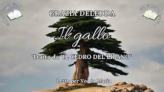 GRAZIA DELEDDA Il gallo da IL CEDRO DEL LIBANO [upl. by Karlis]