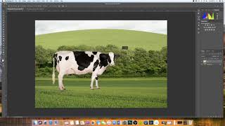 How to insert an image into another image Photoshop  EASY EXPLANATION [upl. by Hatfield]