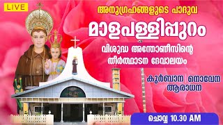 26 NOVEMBER 2024  HOLY MASS  ST ANTONYS PILGRIM CHURCH MALAPALLIPURAM [upl. by Fusco]