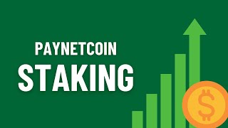 quotMaximize Your Profits with Paynetcoin Staking Rewards 💰🚀 passiveincome stakingrewards [upl. by Yblehs]