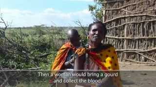 Maasai Voices on Climate Change A Participatory Video [upl. by Eenert]