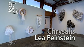 Lea Feinstein  Chrysalis  Keystone Art Space Gallery [upl. by Churchill]