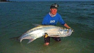 Florida LandBased Tarpon Fishing [upl. by Helsie]