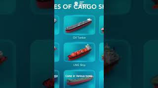 Types of Cargo Ships [upl. by Niloc]