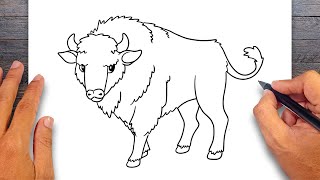 How to draw Bison  Mammals Drawing [upl. by Gio60]