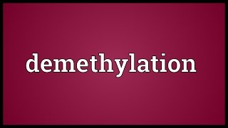 Demethylation Meaning [upl. by Dnamron483]