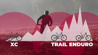 Mountain Bike Comparison XC vs Enduro vs Trail Bikes Explained [upl. by Felizio430]