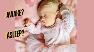 Reborn dolls whats your favorite [upl. by Noiramaj]