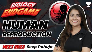 Human Reproduction and Reproductive Health  Biology Endgame  NEET 2023  Seep Pahuja [upl. by Margette]