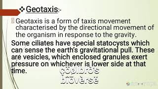 Positive geotaxis and negative phototaxis [upl. by Adnalra]