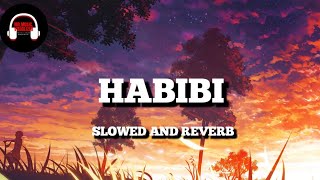 HABIBI x RICKY RICH Slowed and ReverbMrMusicVisualizer1 [upl. by Ilac]