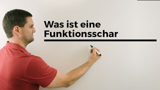 Was ist eine Funktionsschar Teil 1 Parameterfunktion Kurvenschar  Mathe by Daniel Jung [upl. by Rehtnug503]