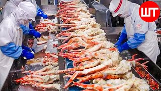 How King Crab Is Processed  Amazing King Crab Fishing Technology  Food Factory [upl. by Yenar]