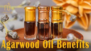 Oud Oil Benefits  What Is Agarwood Oil Used For [upl. by Onailerua]