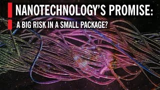 Nanotechnology’s Promise A Big Risk in a Small Package [upl. by Jeremy]