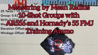 Measuring by Mean Radius 10Shot Groups with AR556 and Hornady’s 55 FMJ Training Ammo [upl. by Dlonra5]