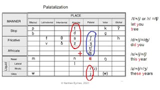 Palatalization in English [upl. by Rodmur]