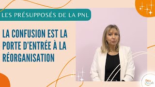 Présupposés de la PNL  La confusion est la porte dentrée à la réorganisation [upl. by Nannaihr]