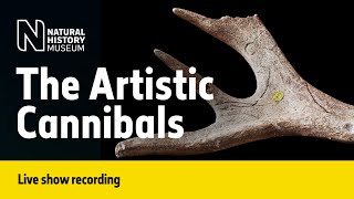 The Artistic Cannibals of the British Isles  Live Talk with NHM Scientist [upl. by Anoirb]