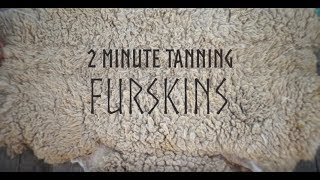 Making Your Own Furskins with Eggs Oil Soap amp Smoke  The Bush Tannery [upl. by Sevik]