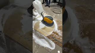 Satisfying Carpet cleaning youtubeshorts [upl. by Ham]