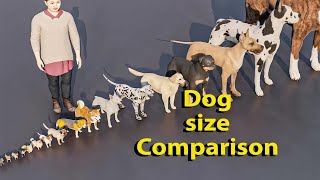 Dog Size Comparison 3D Animation  Data magnifier [upl. by Connor]