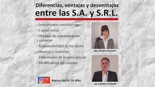 Diferencias entre Sociedad Anónima SASA y una Sociedad de Responsabilidad Limitada SRL SRL [upl. by Lagasse13]