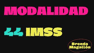 Modalidad 44 IMSS Trabajadores independientes [upl. by Godden]