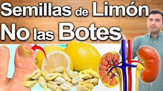 Semillas De Limón Para Todo  No Botes Las Semillas  Para Qué Sirve  Beneficios Para Tu Salud [upl. by Walter]