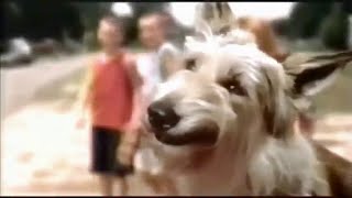 Because of WinnDixie 2004  TV Spot 2 [upl. by Arihsay]