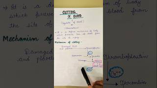 Clotting of blood  Coagulation of blood shorts [upl. by Columbyne]