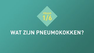 Vraag 1 Wat zijn pneumokokken [upl. by Nadabb521]