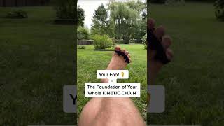 Your Foot 🦶  The BASE Of the Kinetic Chain [upl. by Forcier]