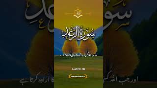 Surah radeinspirationalmuslims islamiclectures inspiringmuslims [upl. by Eiclud]