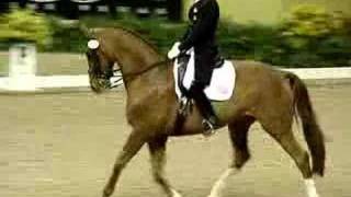 Steffen Peters Musical Freestyle World Cup [upl. by Merriam]