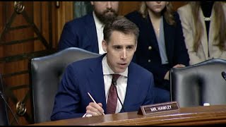 Hawley Questions Judicial Nominee Who Led AntiPolice Organization [upl. by Atnuahsal]