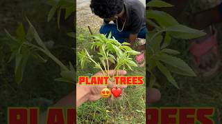 Save earth mission 🙏🏻😍 radheradhe shorts trending savetrees viralvideo [upl. by Yerok]