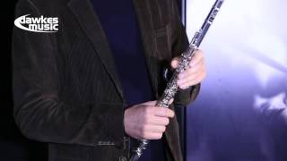 Miyazawa Flute BR602RE Review [upl. by Morentz]